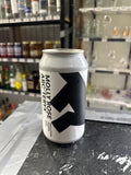 Molly Rose - X Arcteryx Evolution Saison 0.5% 375ML